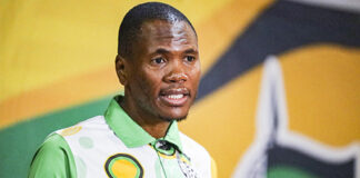 Fractured ANC, EFF pacts in Joburg and Ekurhuleni face total collapse