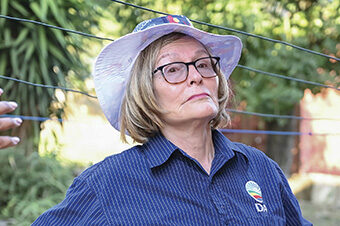Helen Zille and Expropriation Act