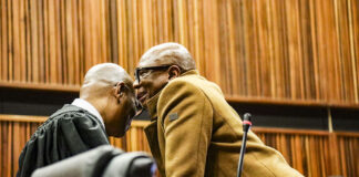 Zizi Kodwa