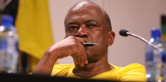 Malatsi’s ‘Starlink directive’ lambasted