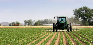 Farming bodies caution against delaying fuel price announcement