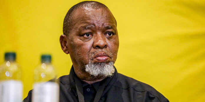 Gwede Mantashe emerges triumphant in court