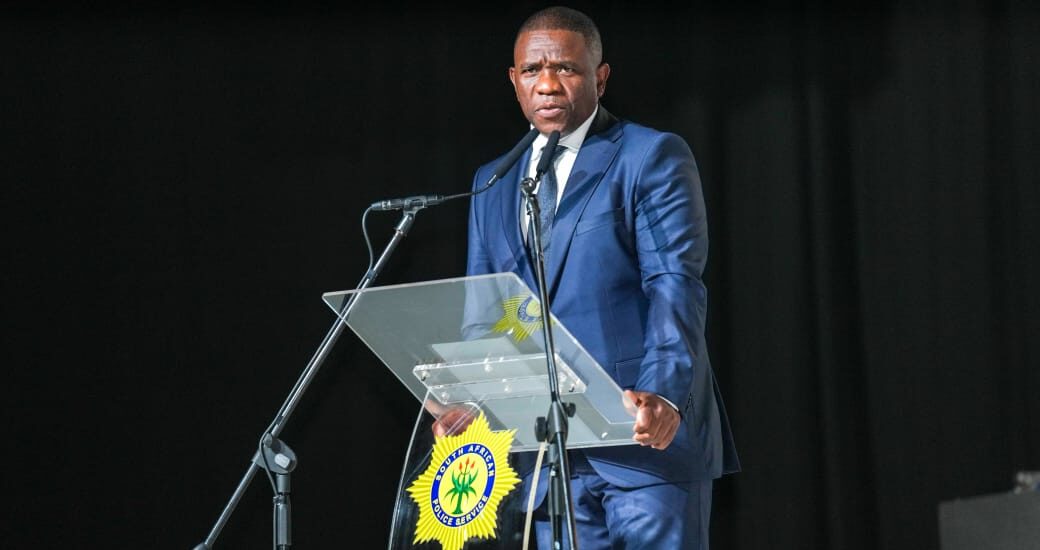 Police portfolio chair calls for probe into Mkhwanazi's claims