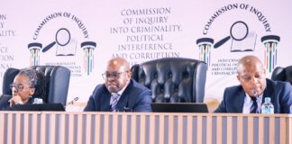 New witness appears before the Madlanga commission