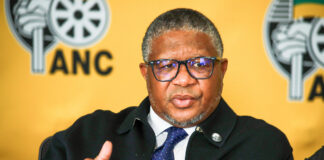 ANC SG, Fikile Mbalula
