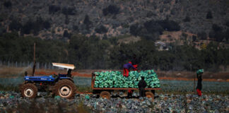Police accused of protecting farmer suspected of lynching farm dweller 