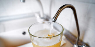 ActionSA has accused mayor of Polokwane John Mpe of desregarding human lives over alleged contaminated water in Seshego