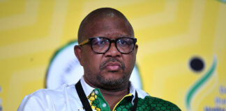 Mbalula warns against ANC, SACP attacking each other