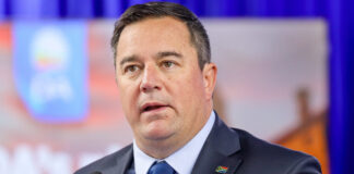 Steenhuisen loses in court