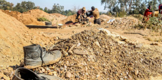 Lehohla Ledger: siphoning of Eastern Cape's human vitality is structural